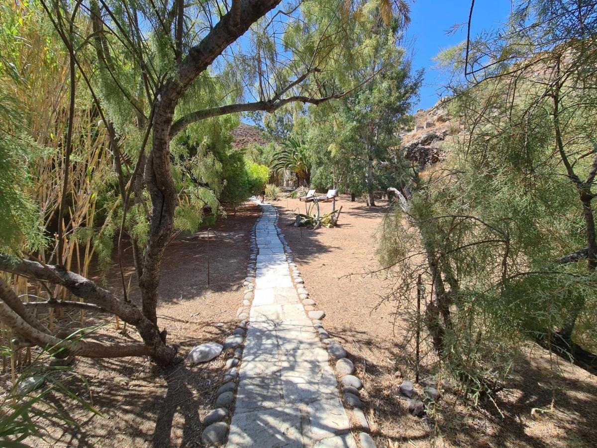 Nature Eco Living Serifos Livadi  ภายนอก รูปภาพ