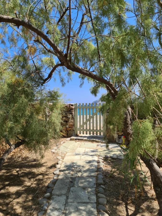 Nature Eco Living Serifos Livadi  ภายนอก รูปภาพ